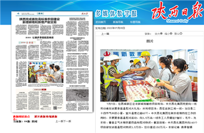 菠菜导航西北集团珑樾府项目高温慰问——《陕西日报》
